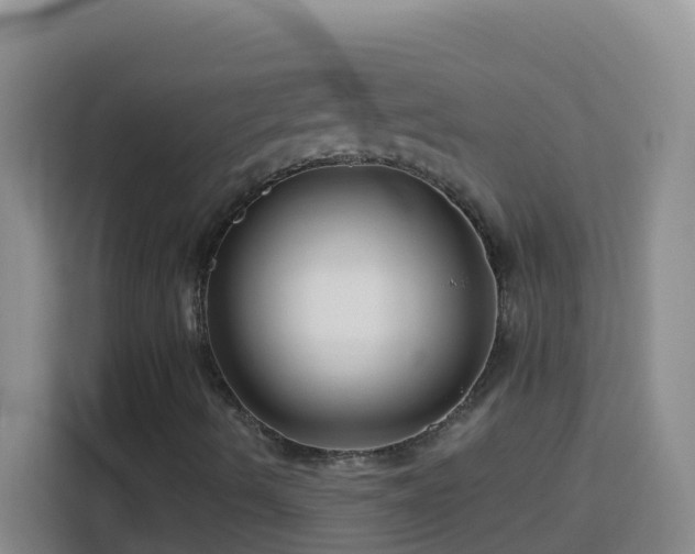 X0000114081490200910051347