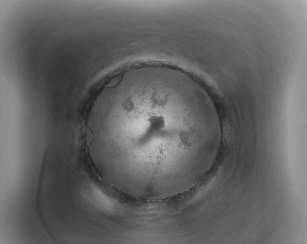 X0000114081494200910051348