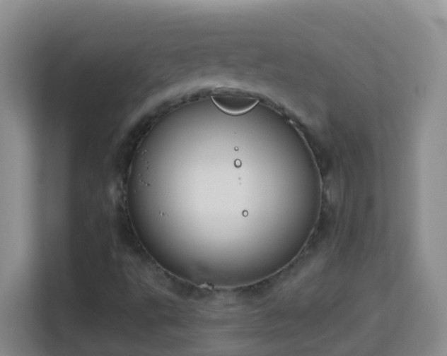 X0000114081495200910051348