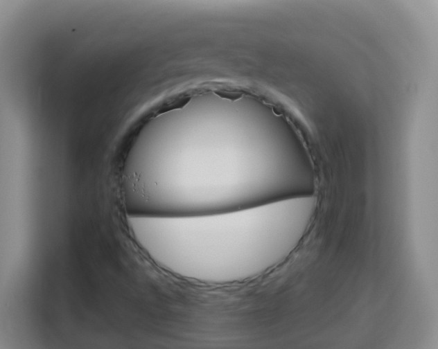 X0000114081496200910051348