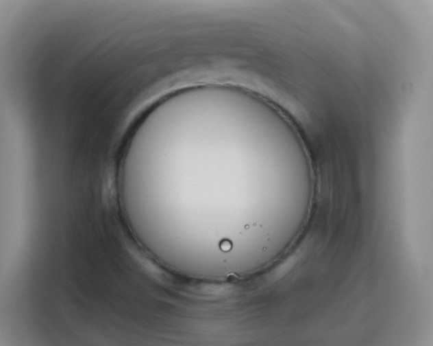 X0000114081498200910051348