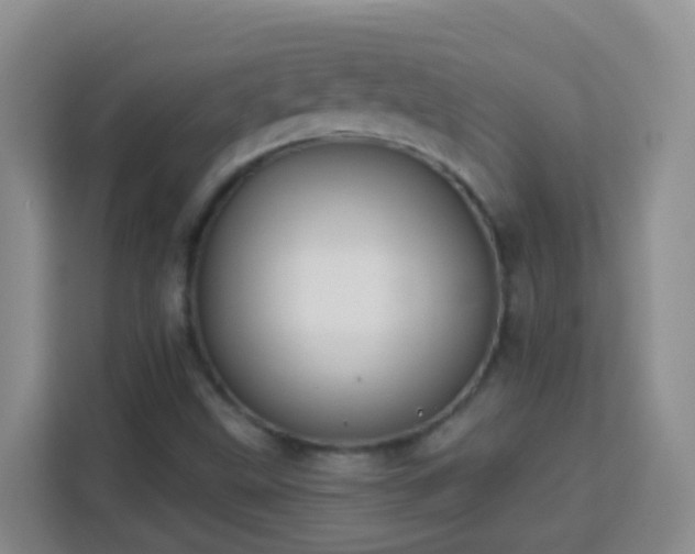 X0000114081499200910051348