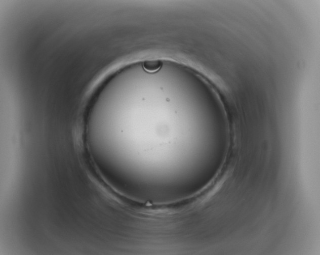 X0000114081502200910051348