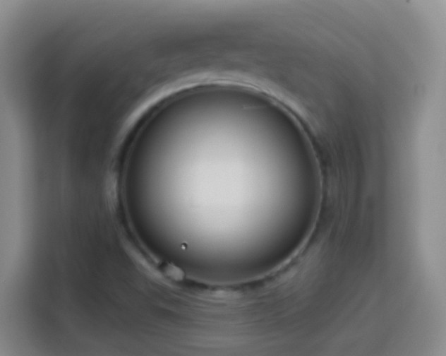 X0000114081503200910051348