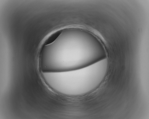 X0000114081504200910051348