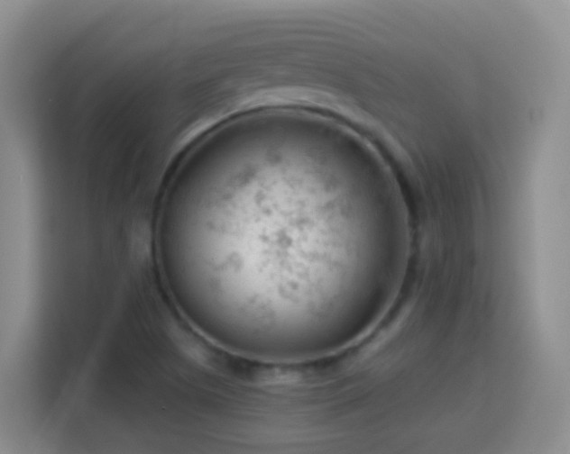 X0000114081505200910051348