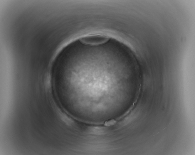 X0000114081506200910051348