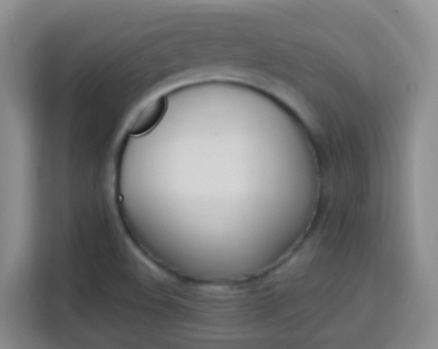 X0000114081508200910051348