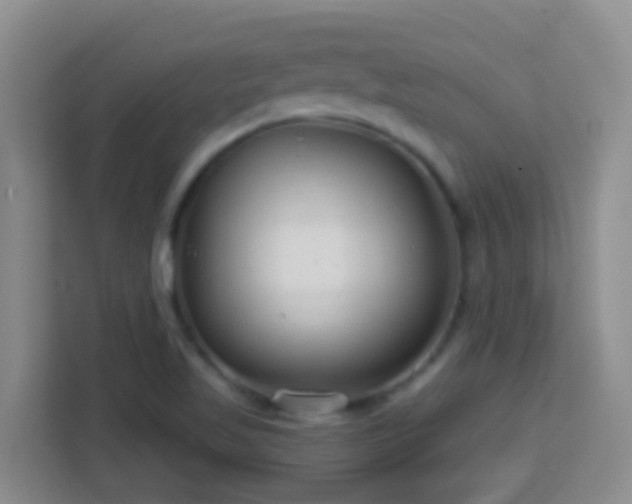 X0000114081509200910051348