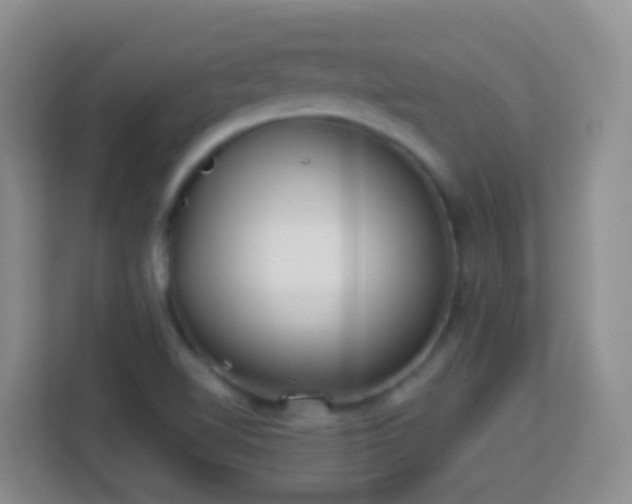 X0000114081510200910051348