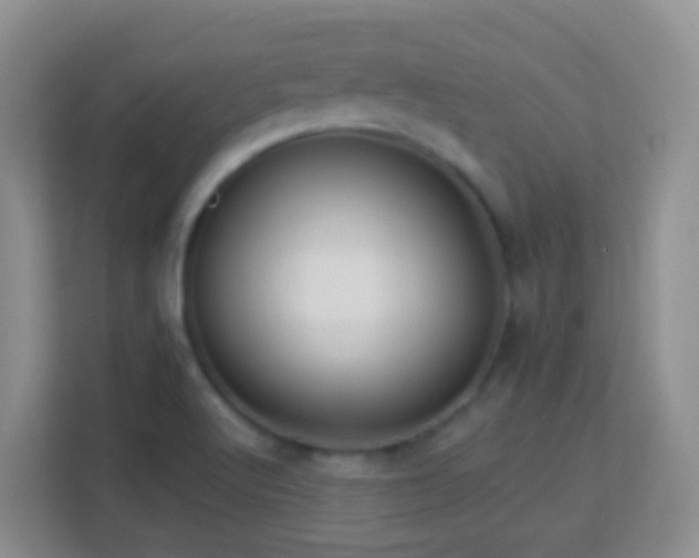 X0000114081512200910051348