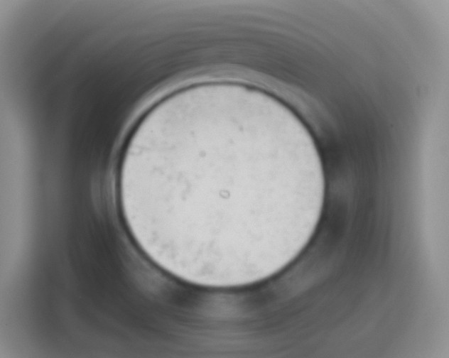 X0000114081514200910051348