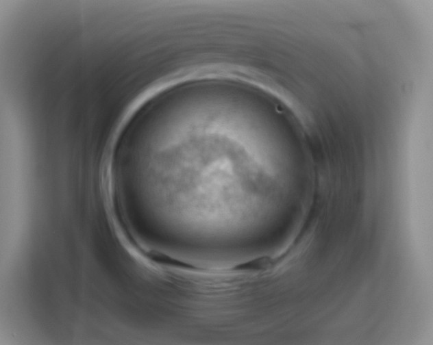 X0000114081515200910051348