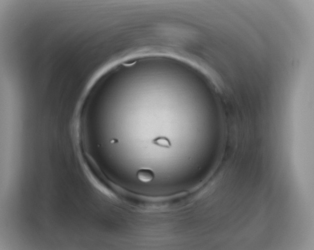 X0000114081519200910051348