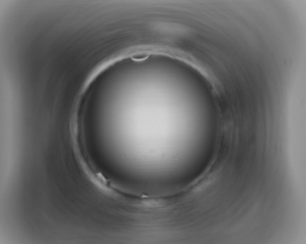 X0000114081523200910051348