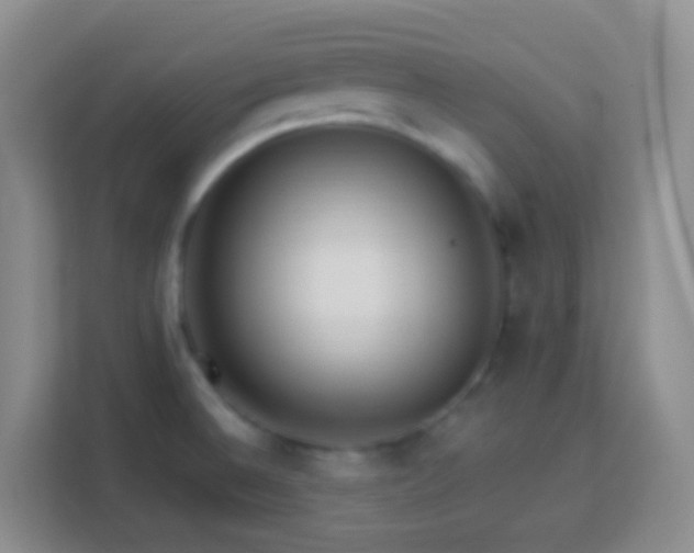 X0000114081524200910051348