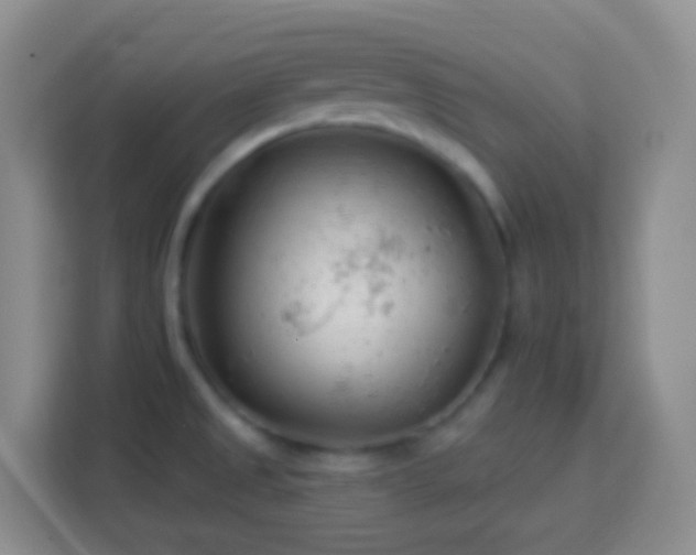 X0000114081525200910051348