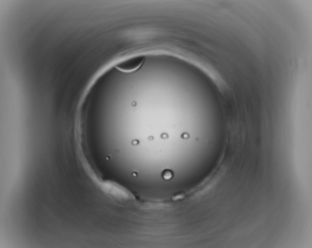 X0000114081526200910051348