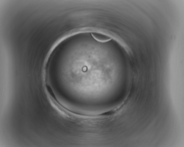 X0000114081527200910051348