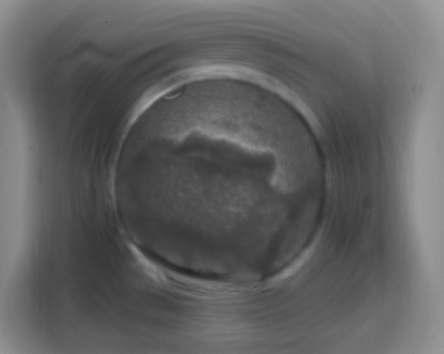 X0000114081529200910051348