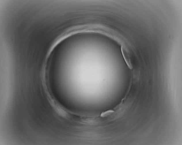 X0000114081530200910051348