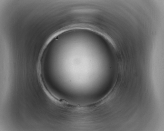 X0000114081531200910051348