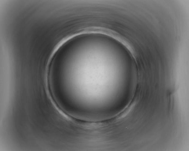 X0000114081533200910051348