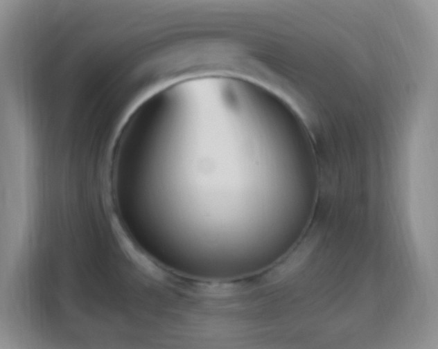 X0000114081534200910051348