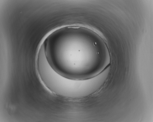 X0000114081536200910051348