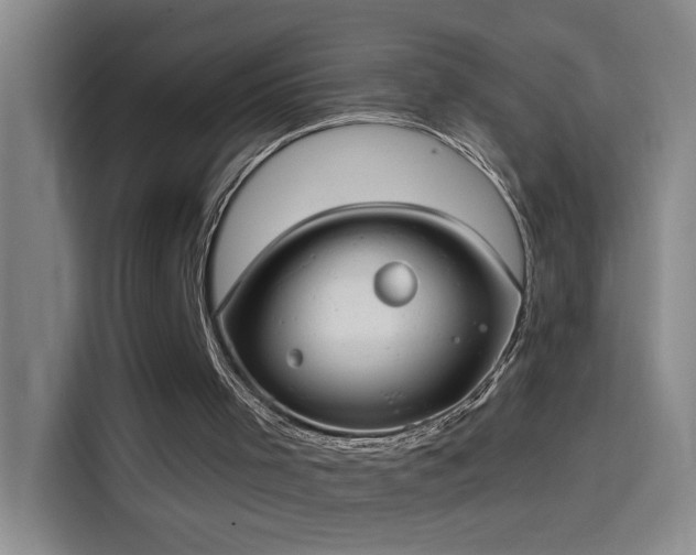 X0000114080001200910131246