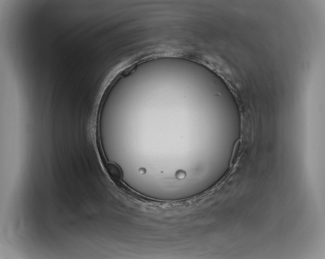 X0000114080003200910131246