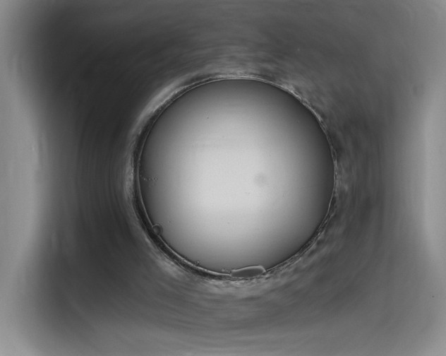 X0000114080005200910131246