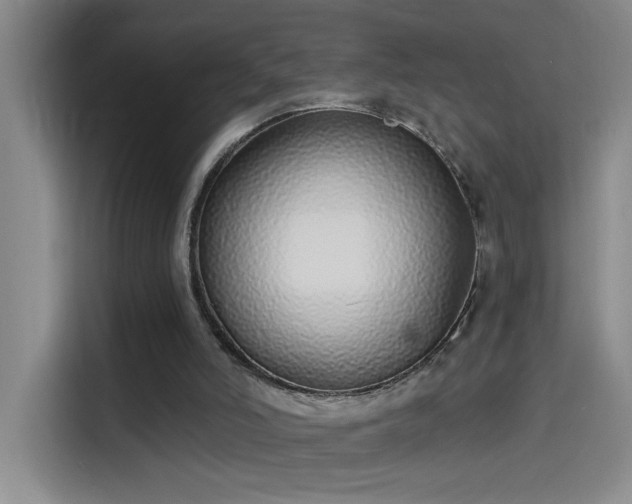 X0000114080006200910131246