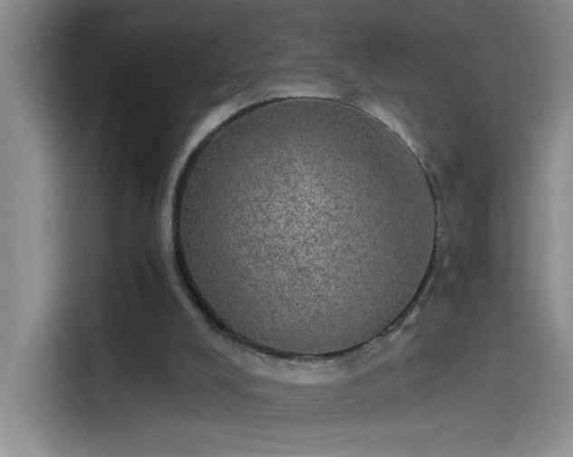 X0000114080008200910131245