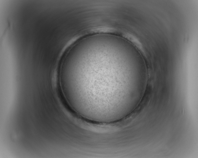 X0000114080012200910131245