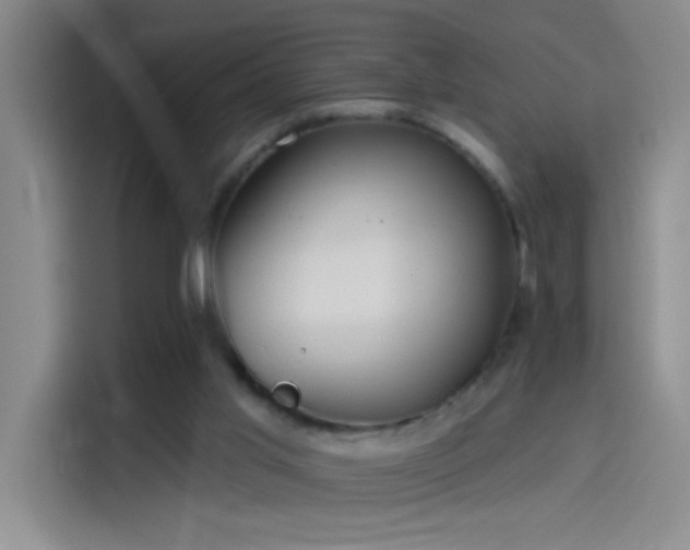 X0000114080013200910131245