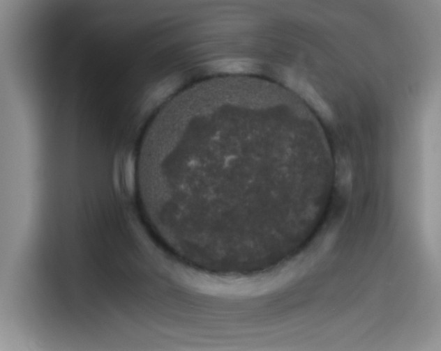 X0000114080014200910131245