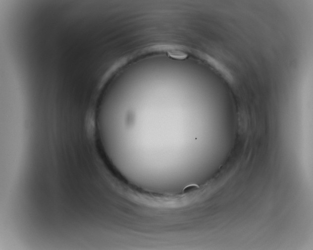 X0000114080015200910131245