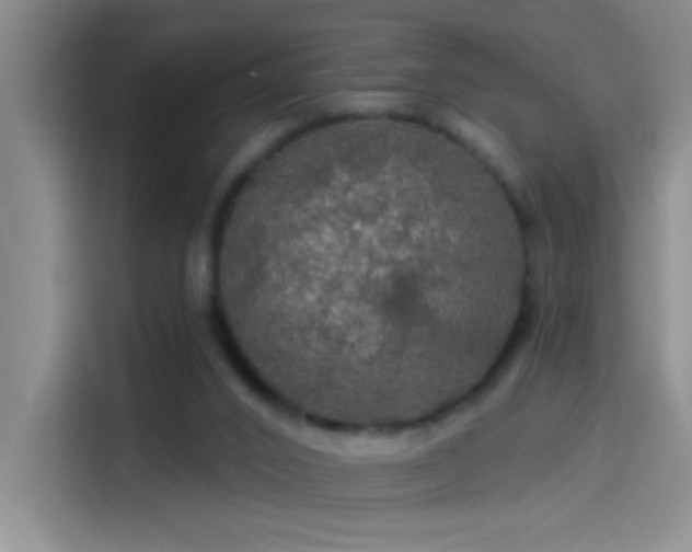 X0000114080016200910131245