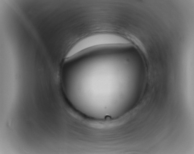 X0000114080017200910131245