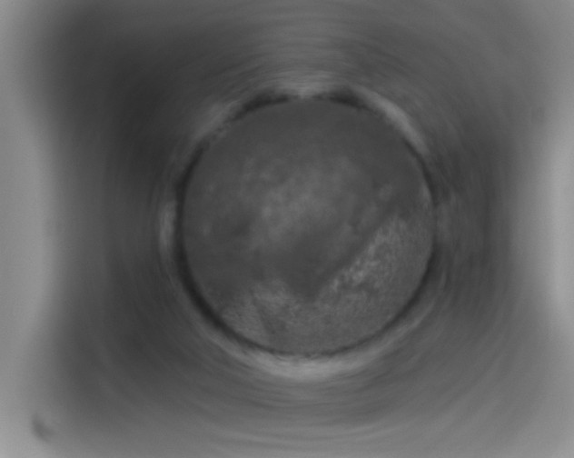 X0000114080018200910131245