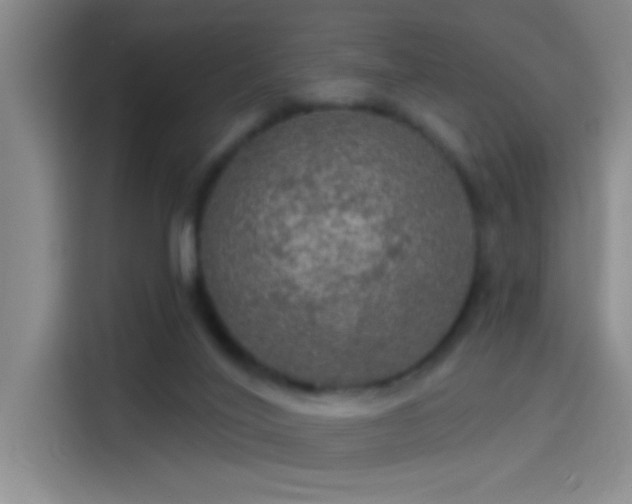 X0000114080020200910131245