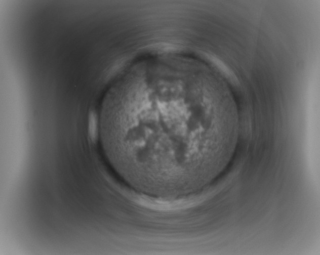 X0000114080022200910131245