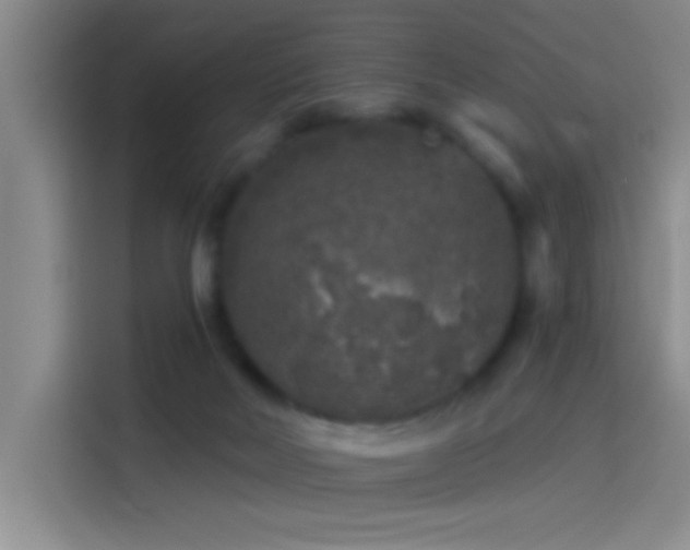 X0000114080026200910131245