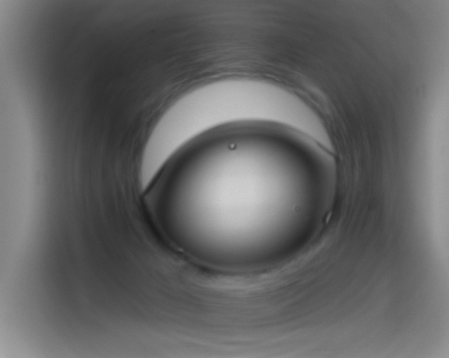 X0000114080029200910131245