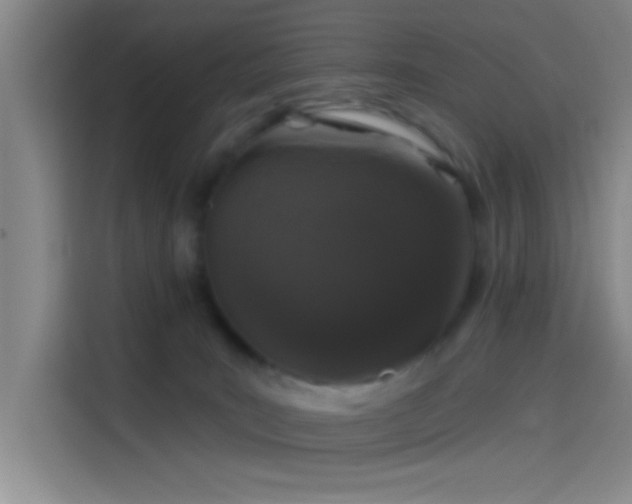 X0000114080035200910131245