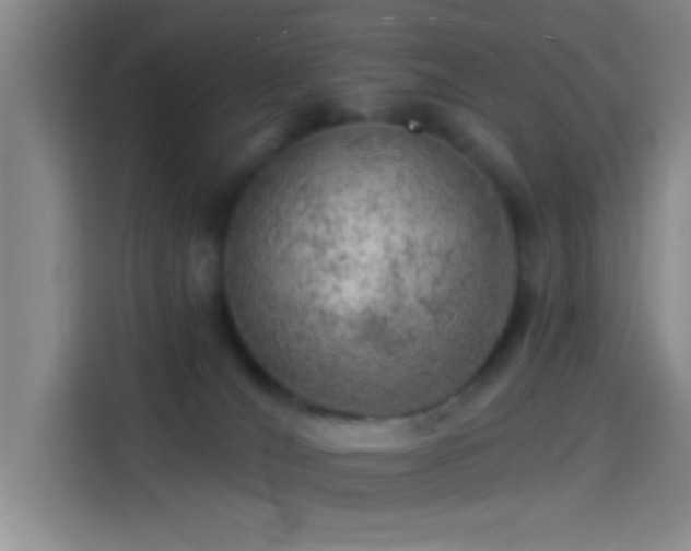 X0000114080036200910131245