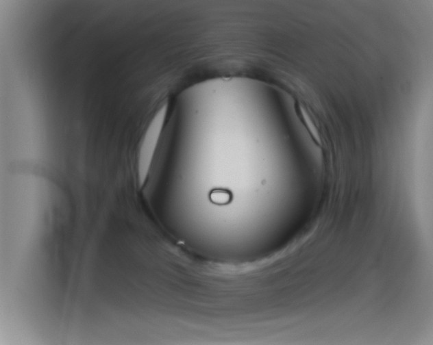 X0000114080037200910131245