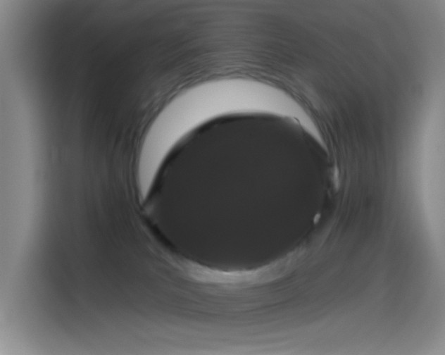 X0000114080039200910131245