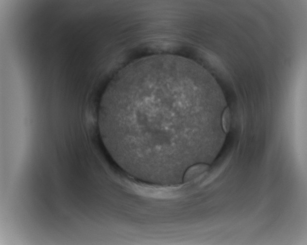 X0000114080040200910131245